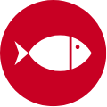 Beschreibung